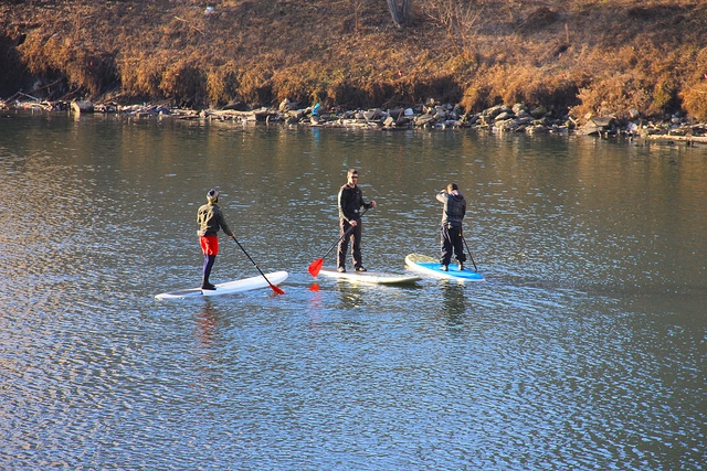 tres hombres haciendo paddle surf